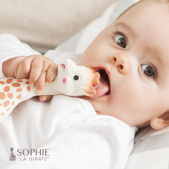 Sophie la girafe en internet