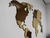 Mapa Mundi em Alto Relevo