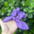 Pom Pom p/ Cabelo > Scrunchie Pct 8 und´s - Básico & Chic Atacado