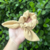 Pom Pom p/ Cabelo > Scrunchie Pct 8 und´s na internet