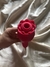 Imagem do Rosa com sucção e vibração Carmim