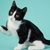 Arranhador para Gatos Rampa Rosa Furacão Pet - comprar online