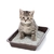 Areia Sanitária para Gatos 4Kg Perfumada Golden Cat - comprar online