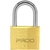 Cadeado 25MM Pado