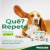 Kit de Higiene e Tratamento de Otites para Cães e Gatos Otovet World na internet