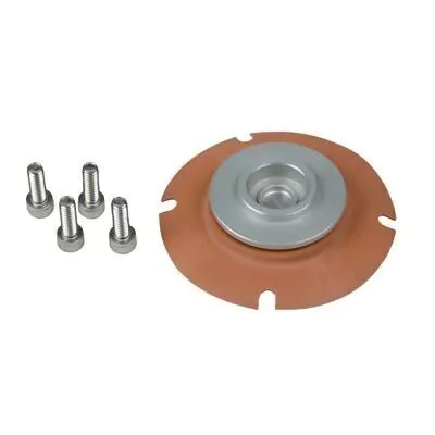 Repuesto Regulador Aeromotive 13101/13109