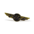 Pin Aviação Brevê - 787