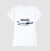 Beechcraft a36 Bonanza - PT-JLL - Flying na internet