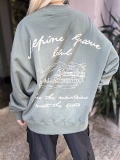 Buzo Alpine en internet
