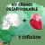 Craneo desarticulable + Corazón