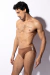 Sunga Brief Renda Café Singular Men - comprar online