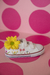All Star Spring - Cano Curto Velcro - comprar online