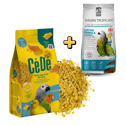 Combo - Extrusada LT4mm (820g) + ALL ROUND (200g) - Todas as criações - comprar online