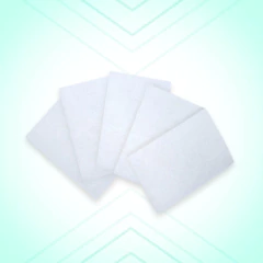 KIT Filtros para Cpap S9 e AirSense S10 c/ 10
