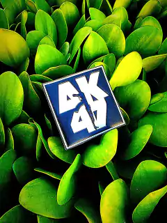 PARCHE PVC / GOMA AK47 - tienda online