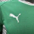 Camisa Palmeiras I 26/27 Jogador Puma Masculina - Verde - loja online