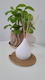Individual 14 cm de diámetro - comprar online