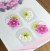 Flor para miolo L284 - tienda online