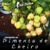 pimenta de cheiro
