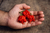 fruto carolina reaper red