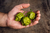 Carolina Reaper Mustard 