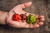 frutos de carolina reaper