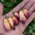 12 sementes de Pimenta Pink Tiger - comprar online