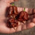 12 sementes de Pimenta Carolina Reaper Chocolate - PIMENTA MAIS FORTE DO MUNDO - comprar online