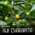sementes de pimenta Aji charapita