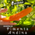 12 sementes de Pimenta Andina