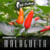 pimenta malagueta