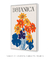 Quadro Decorativo Botanica