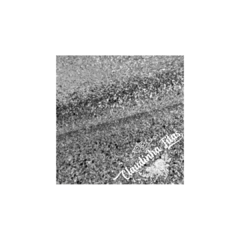 Lonita glitter floco grosso prata 25x35cm - comprar online