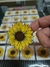 GIRASOLES CON FONDO TRANSPARENTE X 40 - Riga - Fabrica de Calcomanías 