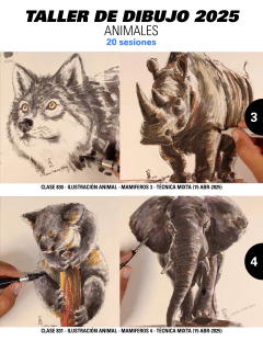 LIBRO DE DIBUJO PDF / 151 SESIONES CLASES GRABADAS EN VIDEO / 9 TALLERES en internet