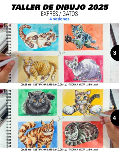 LIBRO DE DIBUJO PDF / 151 SESIONES CLASES GRABADAS EN VIDEO / 9 TALLERES - tienda en línea