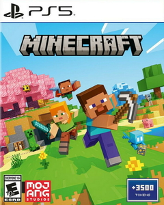 PS5 MINECRAFT