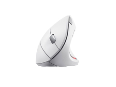 MOUSE ERGONOMICO INALAMBRICO TRUST VERTO - comprar online