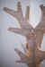 Imagen de Perchero Sol Melamina Blanco Alto 1.56m con 20 Ganchos
