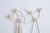 Perchero Vitto 60x30cm MDF con melamina - tienda online