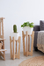Portamacetas Roma set x2 unidades varios colores - tienda online