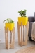 Portamacetas Roma set x2 unidades varios colores en internet