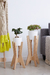 Portamacetas Ambar set x2 unidades SM - Planeta Casa
