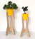 Portamacetas Ambar set x2 unidades SM - comprar online