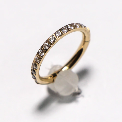 Argola Slim Cravejada com Zircônias Brancas Titânio Gold 8m