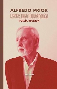 Leves instrucciones - Poesía reunida