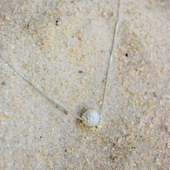 Choker Amaea com Esfera Trabalhada Folheado a Prata