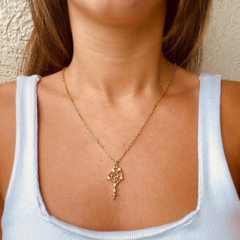 Colar Amaea Nossa Senhora em Zirconia Folheada a Ouro 18k