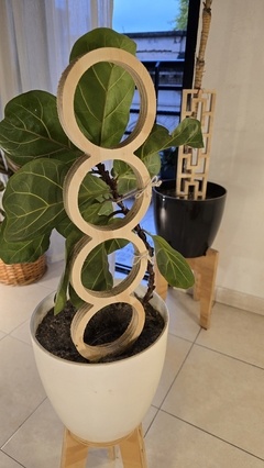 Tutores para plantas en internet