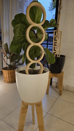 Tutores para plantas - POK.DECO